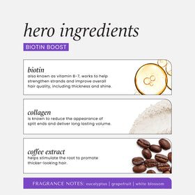 HASK close-up of coffee beans ingredient adding fullness