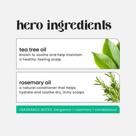 HASK label close-up highlighting tea tree and rosemary