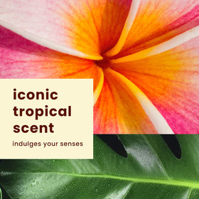 Hawaiian Tropic coconut and kukui nut botanicals representing hydration and scent