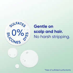Head & Shoulders twin pack held in hand showing size and portability
