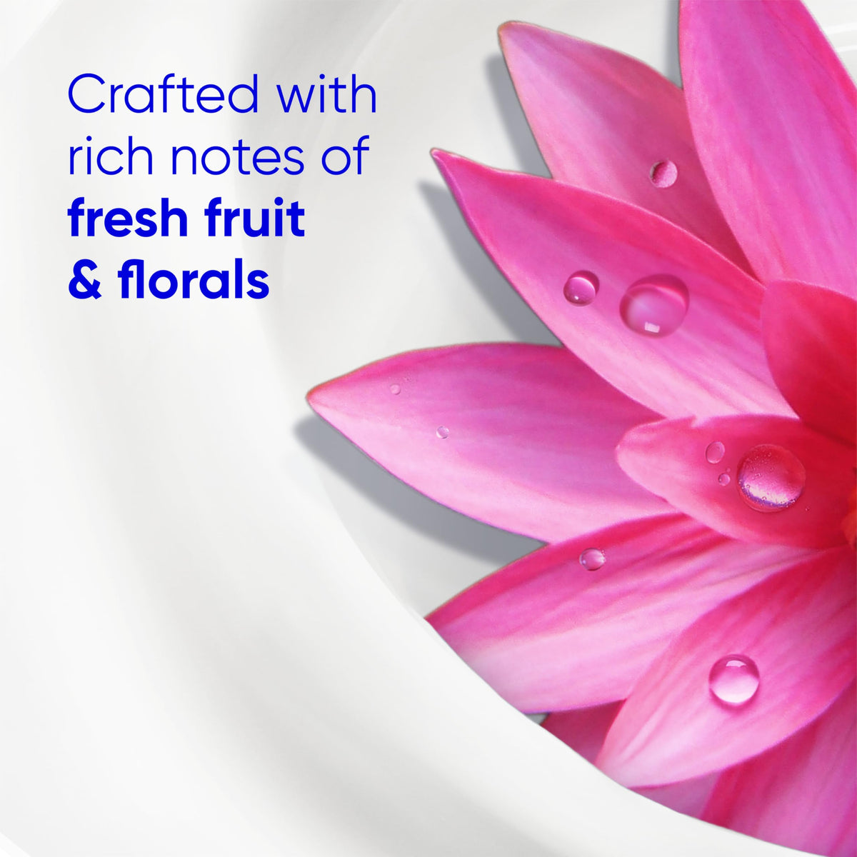 Head & Shoulders fruit and floral visuals representing the shampoo fragrance