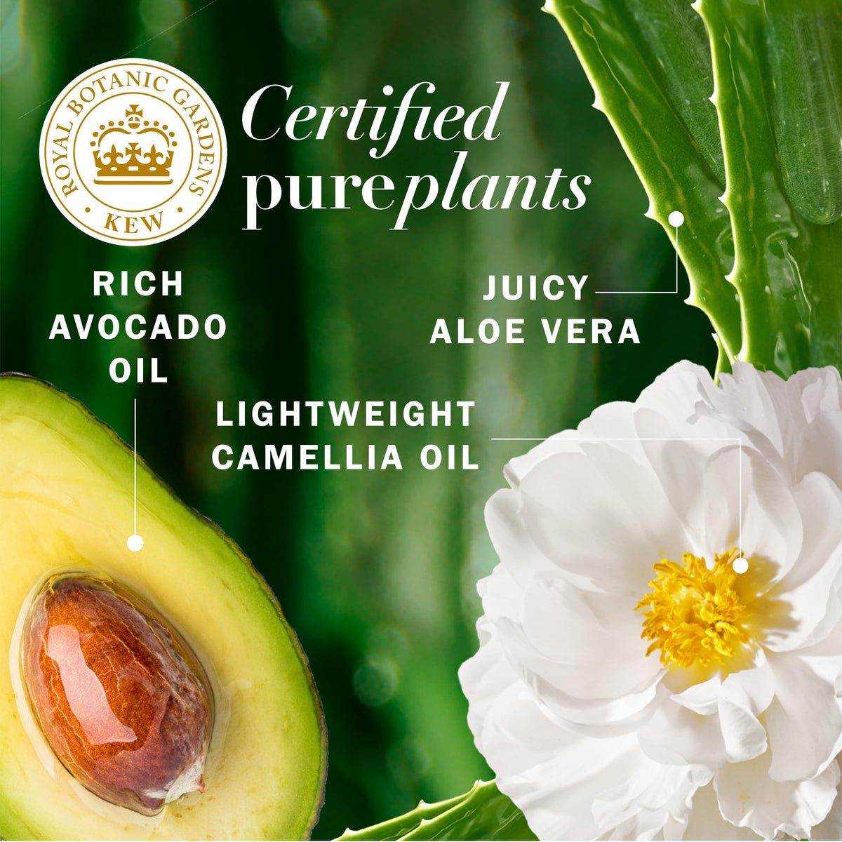 Herbal Essences bottle and label close-up highlighting ingredient list