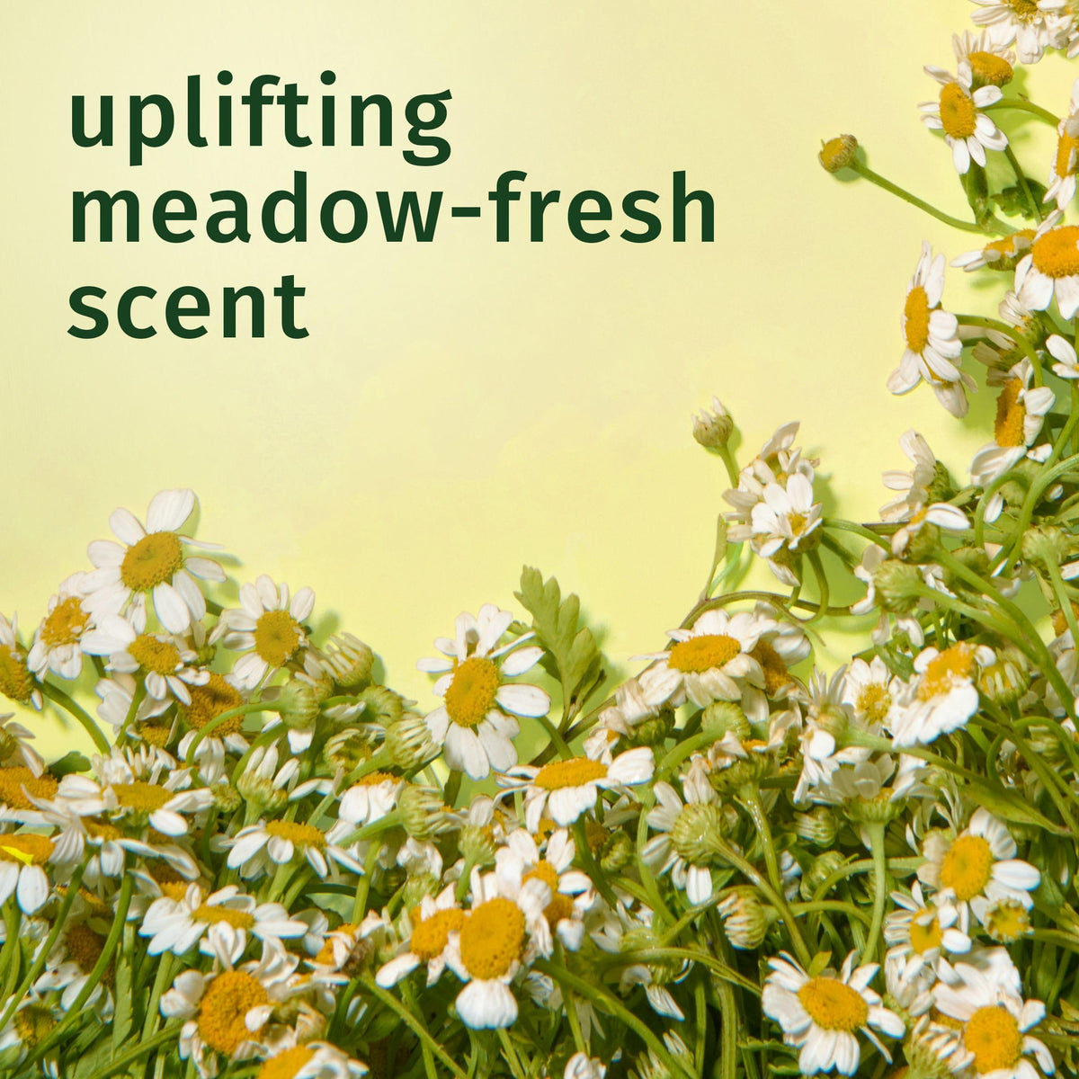 Herbal Essences chamomile in shower scene being applied to mid-lengths to detangle and condition