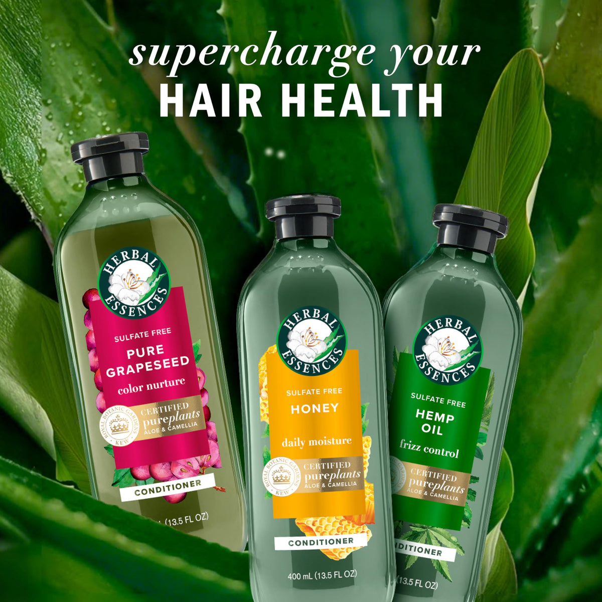 Herbal Essences aloe vera leaf closeup highlighting pure hydration
