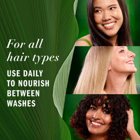 Close-up of aloe leaf and camellia flower next to Herbal Essences bottle emphasizing plant-based ingredients