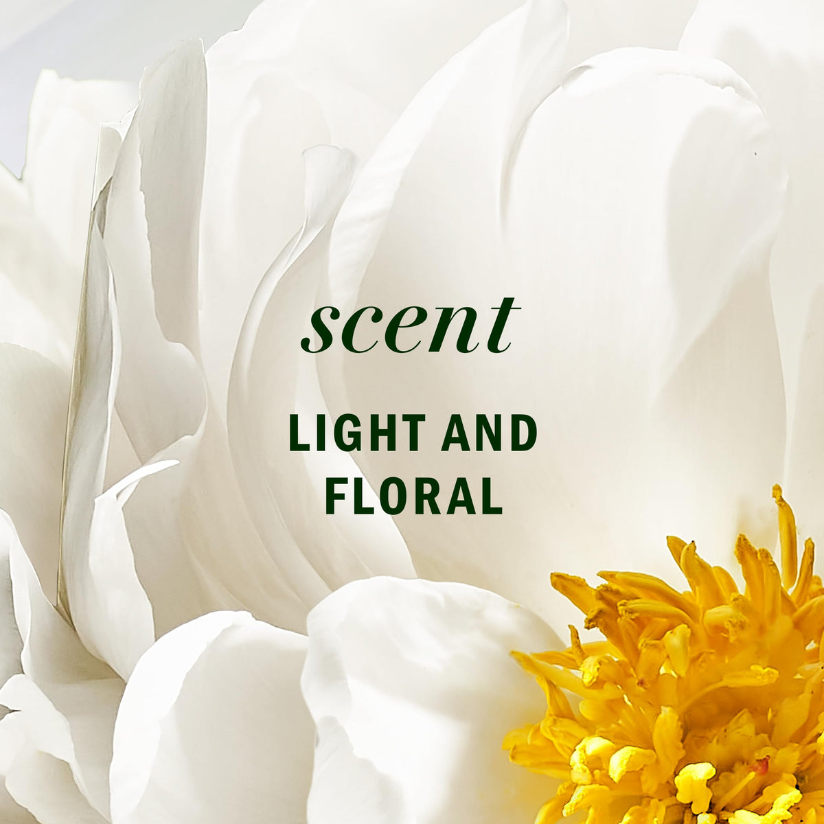 Herbal Essences ingredient label and certifications emphasizing clean formula
