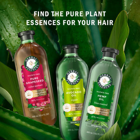 Herbal Essences lifestyle scene with breeze-blown hair showing natural shine