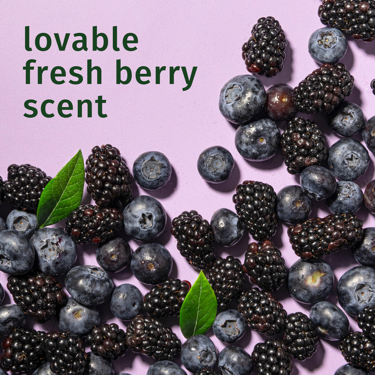 Herbal Essences mousse used with a diffuser to enhance curl volume