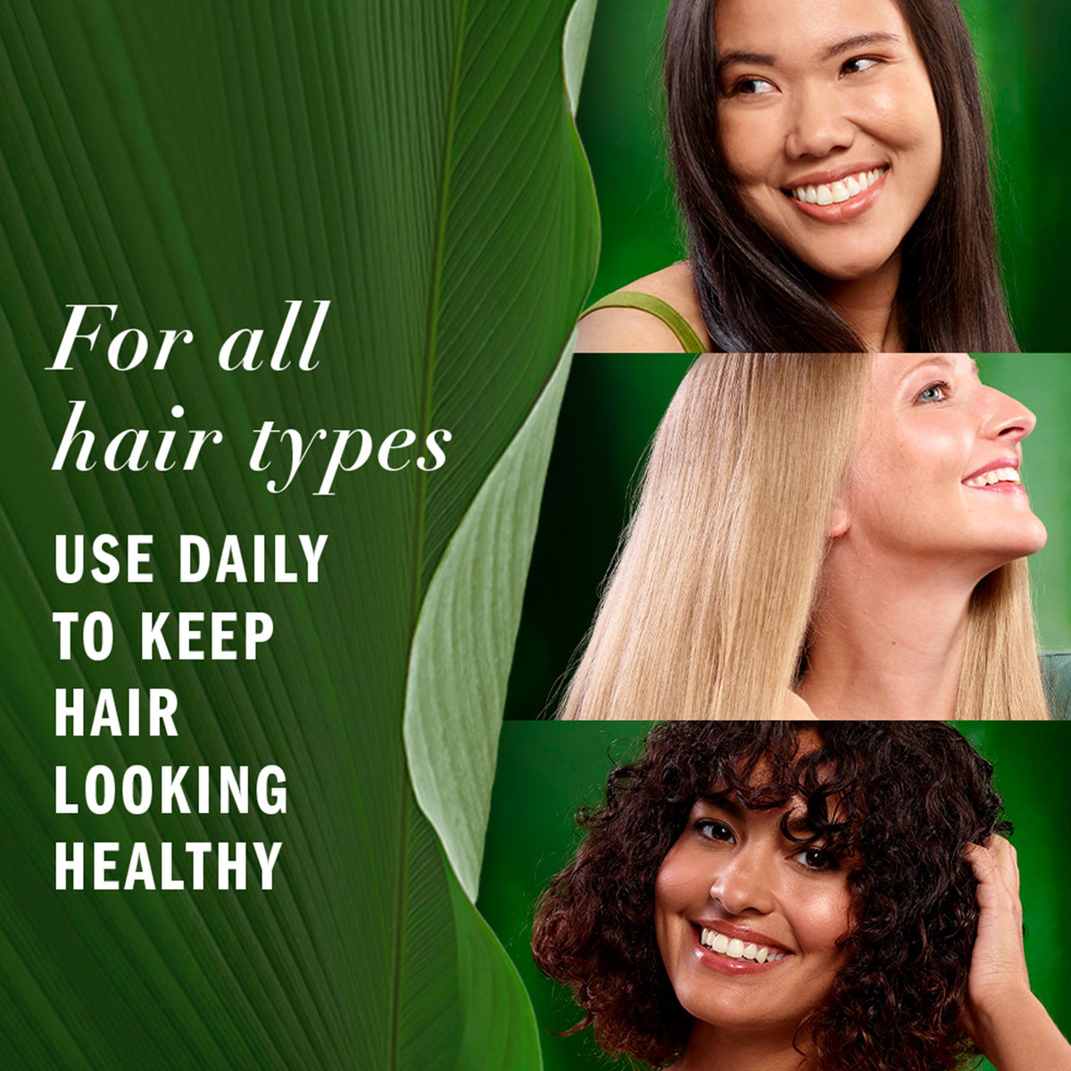Herbal Essences applied to damp hair demonstrating improved detangling and manageability