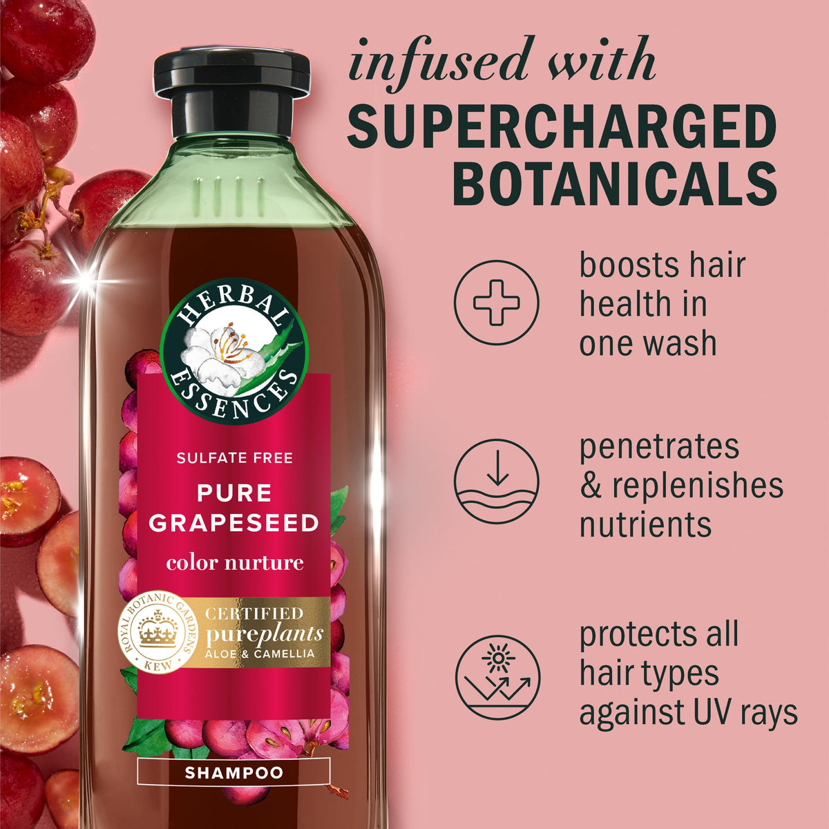 Herbal Essences back label close-up listing ingredients and usage instructions