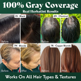 Before and after photo showing Herbatint coverage on resistant gray roots