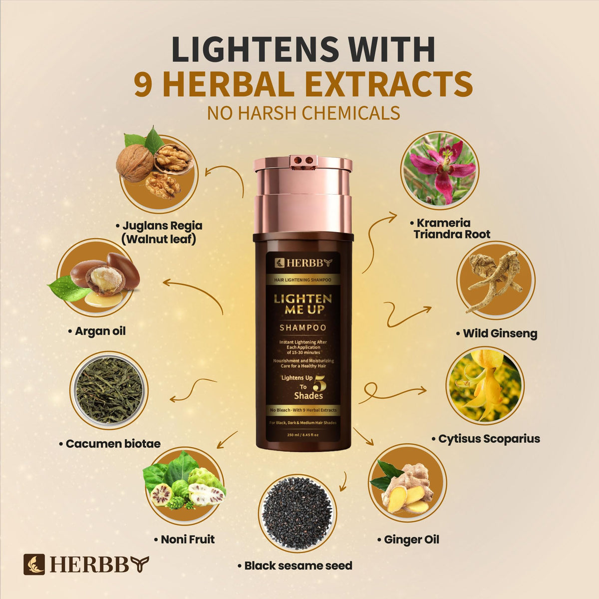 HERBBY herbal ingredients flatlay showcasing botanical extracts and nourishment