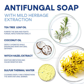 Hermon soap bar texture close-up highlighting active ingredients