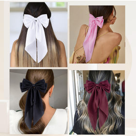 hisial in hair ponytail styling shows elegant secure everyday wear