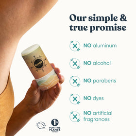 HUMBLE BRANDS plastic-free paperboard packaging highlighting sustainability