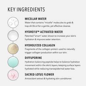 HydroPeptide label close-up showing peptide and micellar ingredients