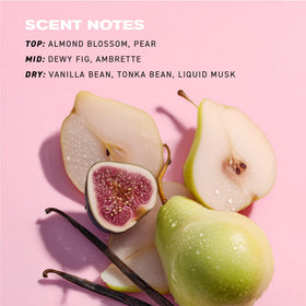 IGK Velvet Muse cactus flower extract close-up highlighting hydration benefit