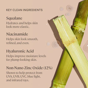 ILIA ingredients shot with hyaluronic acid and niacinamide highlighting hydration benefit