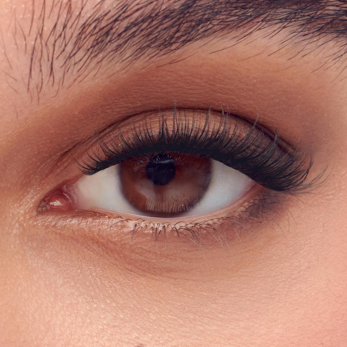 imPRESS close-up of lash cluster texture highlighting lightweight natural finish