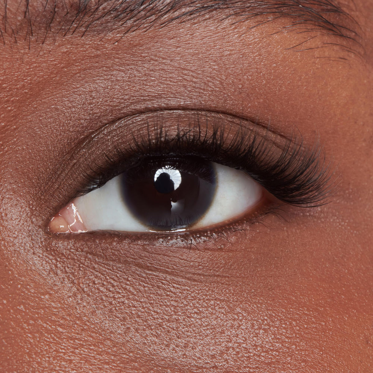 imPRESS close-up of lash cluster texture for natural blending