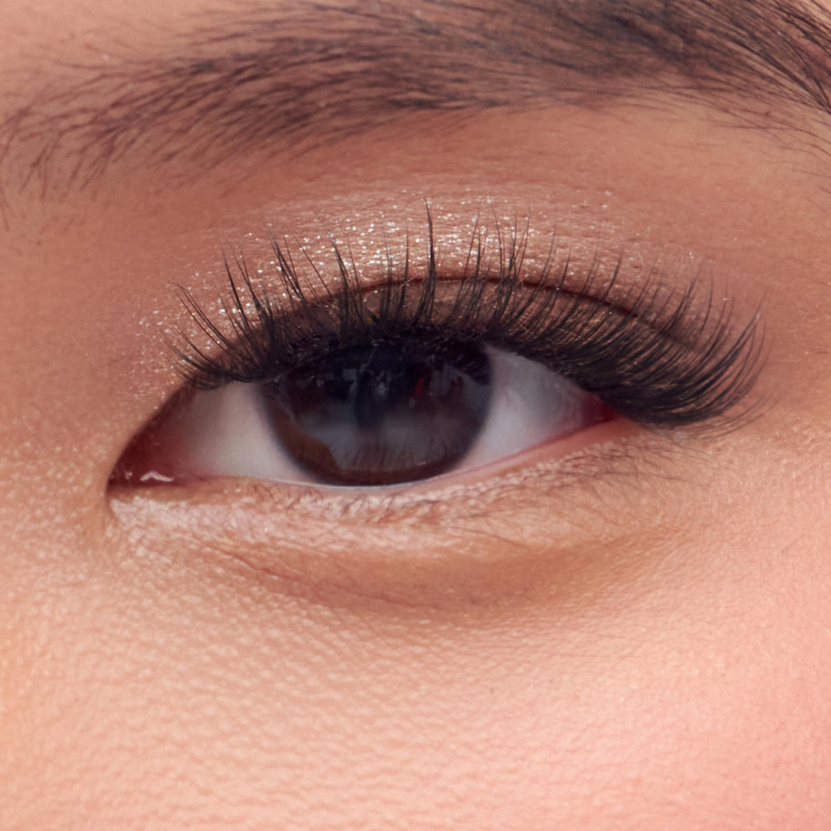imPRESS kit open with 36 pre-bonded lash clusters and neat layout