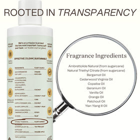 Ingreendients shampoo being applied in shower showing effective rinse