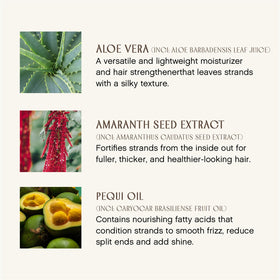 INNERSENSE ingredient shot with amaranth and pequi oil for strength