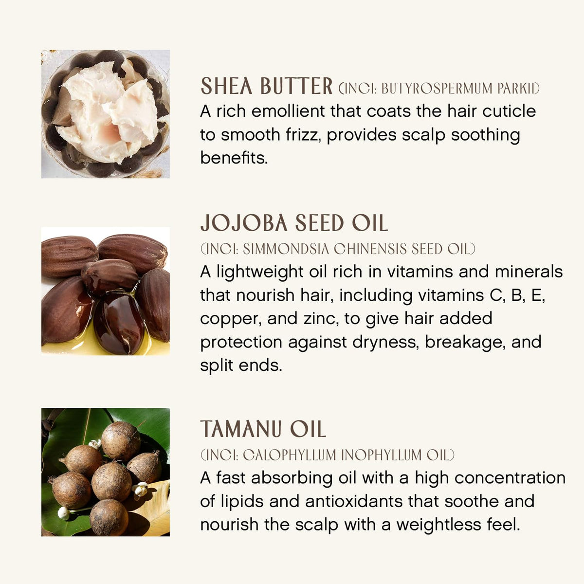 INNERSENSE shea tamanu jojoba ingredients arranged to show natural nourishment