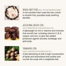 INNERSENSE shea tamanu jojoba ingredients arranged to show natural nourishment