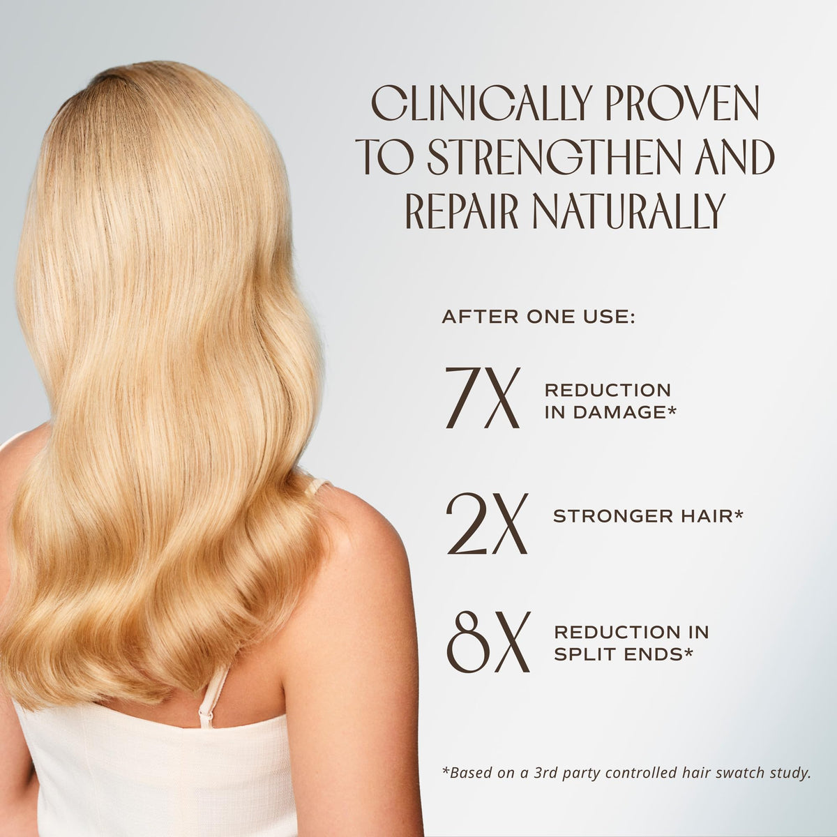 INNERSENSE moringa seed close-up highlighting protein repair benefit