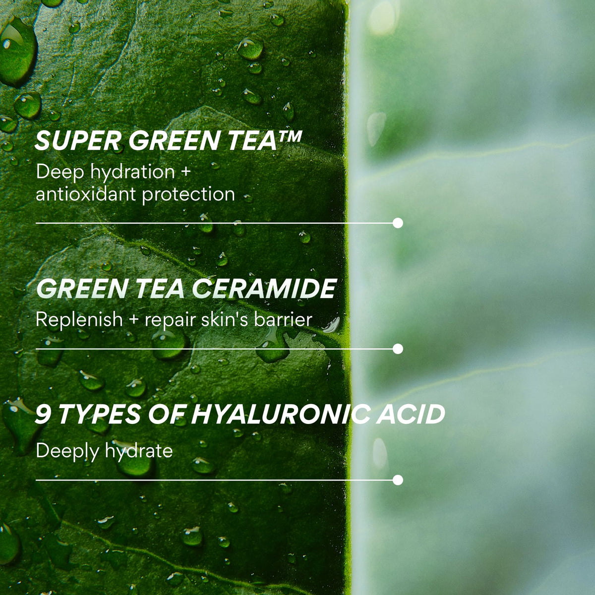 innisfree label detail emphasizing ingredient list and fragrance-free formulation