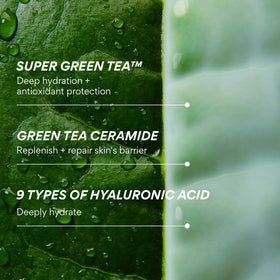 innisfree label detail emphasizing ingredient list and fragrance-free formulation