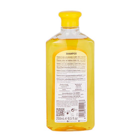 Intea shampoo being dispensed with rich lather for easy use