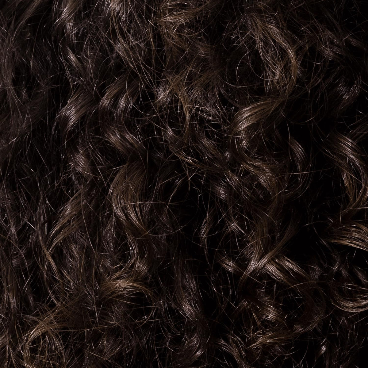 ion styled dark brown hair in lifestyle shot highlighting glossy result