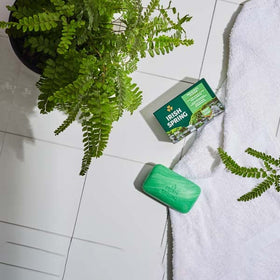 Irish Spring bar resting on draining soap dish to preserve bar life benefit