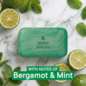 Irish Spring open carton with multiple bars showing bulk value and storage
