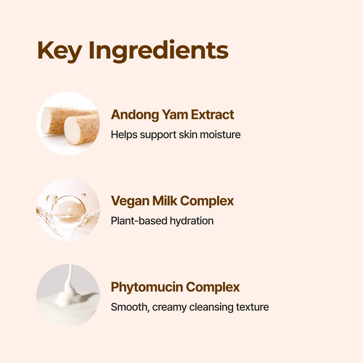 IsNtree ingredient label close-up highlighting yam root and ceramide NP