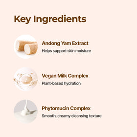 IsNtree ingredient label close-up highlighting yam root and ceramide NP