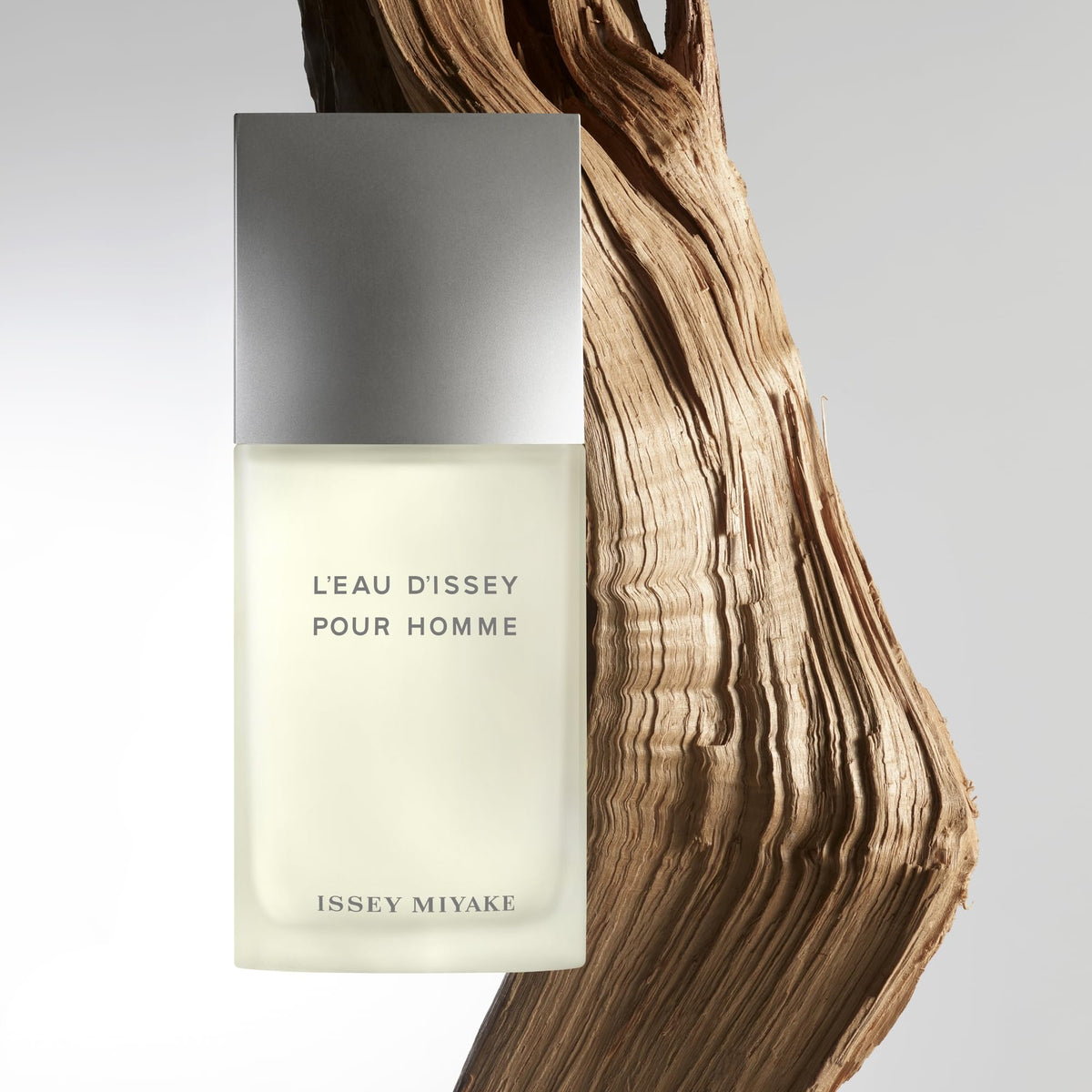 Issey Miyake bottle in hand for scale demonstrating practical 6.7 oz size