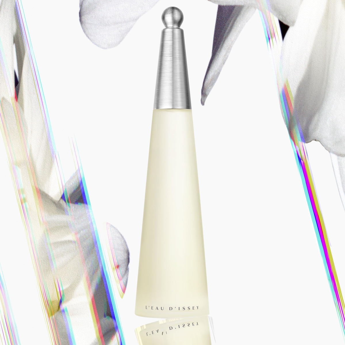 Issey Miyake 3.4 oz bottle beside smaller sizes illustrating scale