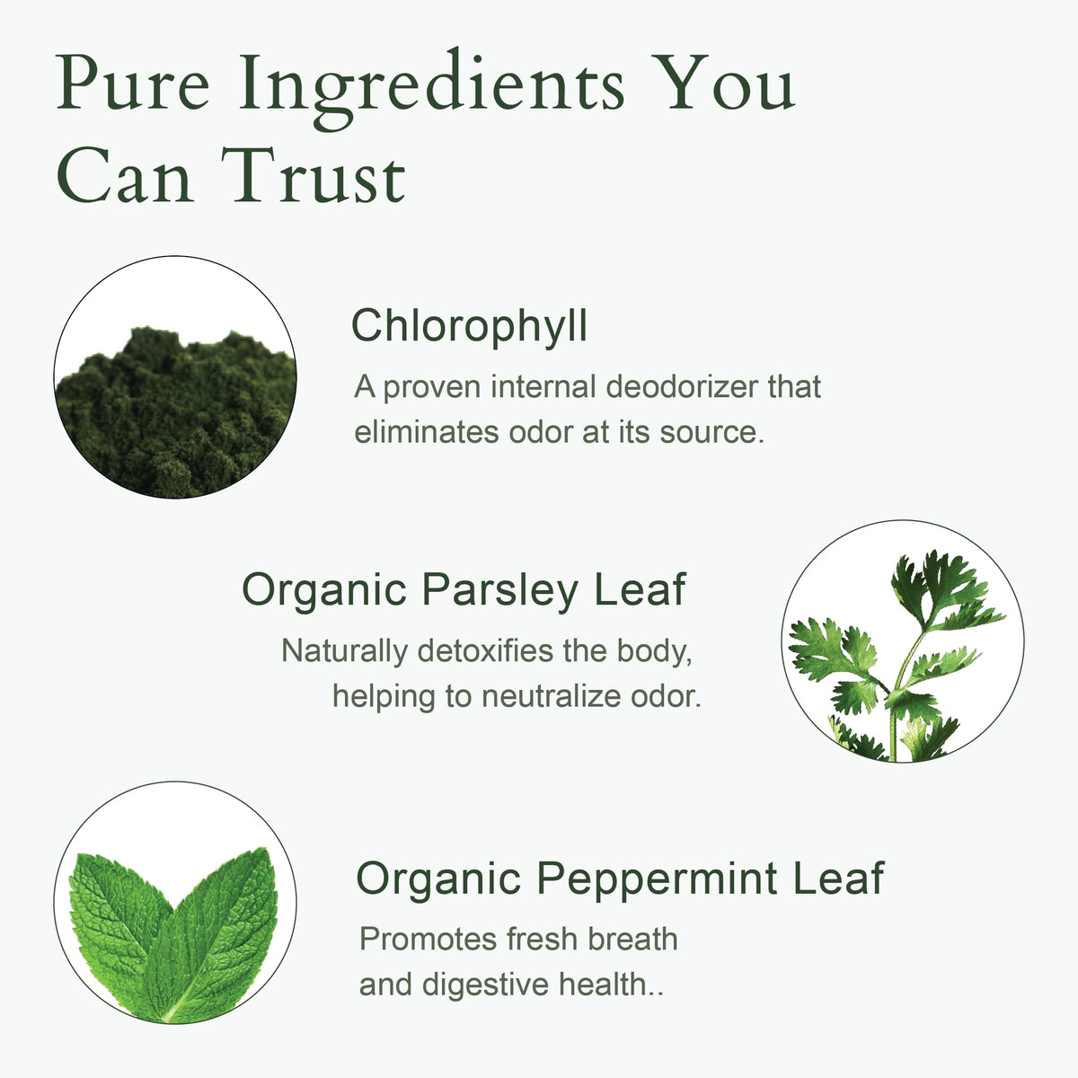 It Just Works ingredient label close-up displaying chlorophyll, parsley and mint benefits
