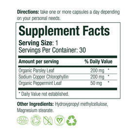 It Just Works capsules held in hand illustrating scale and a convenient travel-ready size