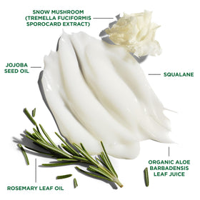 Jack Black styled short hair lifestyle image showing natural, healthy finish benefit