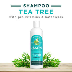 JASON ingredients flatlay with tea tree and grapefruit emphasizing natural botanicals