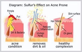 JOESOEF ingredients label highlighting dermatologist-formulated composition