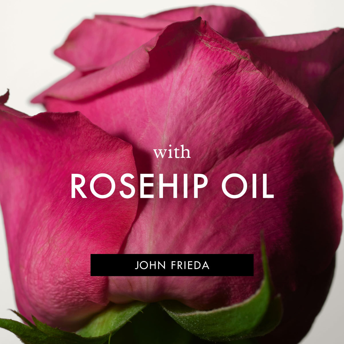 John Frieda ingredient graphic highlighting Abyssinian and Rose Hip oils nourishment