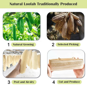 Jopplim close-up on natural loofah texture displaying exfoliating fibers and gentle scrub benefit