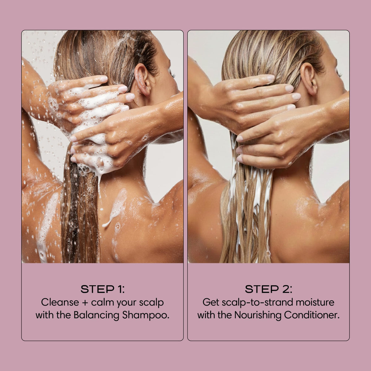 Sugar kelp and aloe vera ingredients representing Jupiter’s nourishing, calming benefits