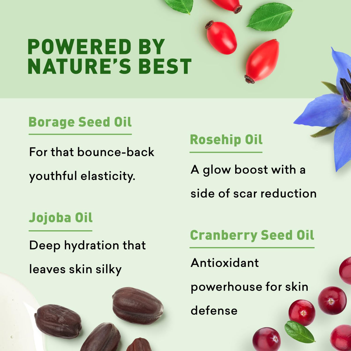 Just Nutritive ingredient oils flatlay with jojoba and rosehip for nourishing benefits