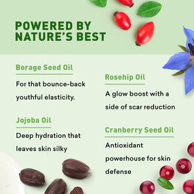 Just Nutritive ingredient oils flatlay with jojoba and rosehip for nourishing benefits